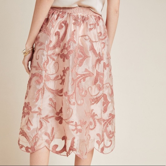 Anthropologie | Shannon Embroidered Midi Skirt - Picture 4 of 6